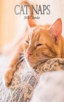 Cat Naps: 2020 Square Wall Calendar