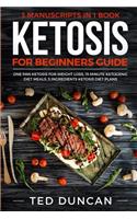 Ketosis for Beginners Guide