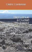 Bienvenue Ã? Ciudad Juarez: Roman