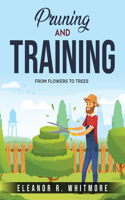 Pruning and Training