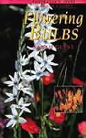 Flowering Bulbs