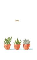 Notes: Succulent Plant Notebook 175 page College-Ruled Notebook(1 Succulent Notebook)