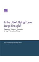 Is the USAF Flying Force Large Enough?