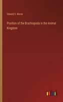 Position of the Brachiopoda in the Animal Kingdom