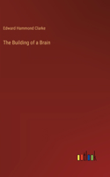 Building of a Brain