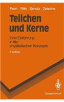 Teilchen Und Kerne: Eine Einf Hrung in Die Physikalischen Konzepte