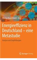 Energieeffizienz in Deutschland - Eine Metastudie: Analyse Und Empfehlungen
