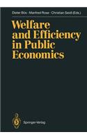 Welfare and Efficiency in Public Economics