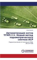 Avtomatizatsiya Kotla Tgmp-314. Novyy Metod Parametricheskogo Sinteza ASR: (Russian)