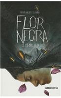Flor Negra: El Címbalo de Oro