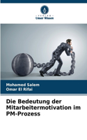 Die Bedeutung der Mitarbeitermotivation im PM-Prozess