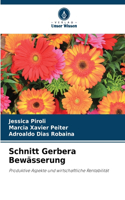 Schnitt Gerbera Bewässerung