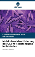 Molekulare Identifizierung des CTX-M-Resistenzgens in Bakterien