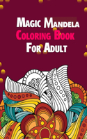 Magic Mandela Coloring Book For Adult