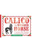 Calico the Wonder Horse