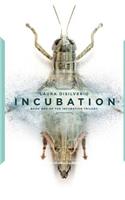 Incubation