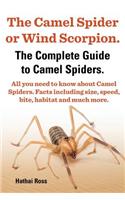 Camel Spider or Wind Scorpion. the Complete Guide to Camel Spiders. All You Need to Know about Camel Spiders. Facts Including Size, Speed, Bite an