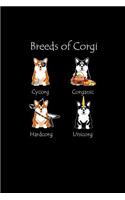 Breeds of Corgi