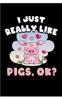 I Just Really Like Pigs Ok: Cute Pig Journal, Farming Notebook Note-Taking Planner Book, Pig Show, Pigs Lover Birthday Present, Pig Farm Gifts for Farmer