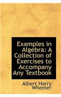 Examples in Algebra: A Collection of Exercises to Accompany Any Textbook: A Collection of Exercises to Accompany Any Textbook