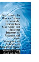 Flora Saxonica. Die Flora Von Sachsen, Ein Botanisches Excursionsbuch. Nebst Schlssel Zum Erleichter