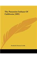 Panamint Indians Of California (1892)