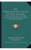 Ferns And Fern Allies Of New Zealand