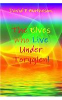 The Elves Who Live Under Toryglen.
