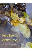 Feuilles Dans L'eau 2017