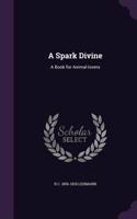 A Spark Divine
