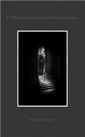 Little book of blacks whites & greys