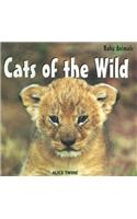 Cats of the Wild