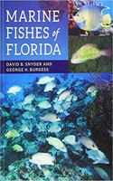 Marine Fishes of Florida