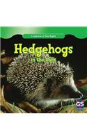 Hedgehogs in the Dark