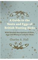 Guide to the Nests and Eggs of British Nesting Birds - With Detailed Descriptions of Nests, Eggs, and Where to Look for Them