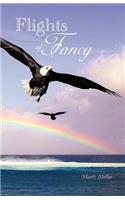 Flights of Fancy