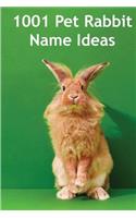 1001 Pet Rabbit Name Ideas: The most popular, quirky, and fun names you could give your pet rabbit!(English)