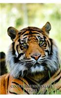 Cool Image Journal #18: Tiger (lined pages): 200 Page Journal