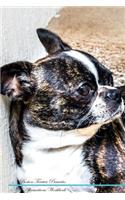 Border Collie Affirmations Workbook Border Collie Presents: Positive and Loving Affirmations Workbook. Includes: Mentoring Questions, Guidance, Supporting You.