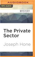 The Private Sector