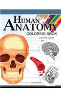 Human Anatomy Coloring Book