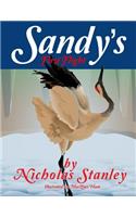 Sandy's First Flight