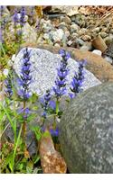 Journal Rocks Flowers: (Notebook, Diary, Blank Book)