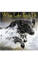 What Labs Teach Us 2019 Wall Calendar (Dog Breed Calendar)