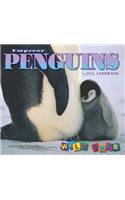 Emperor Penguins