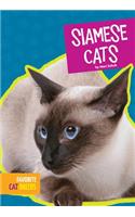 Siamese Cats