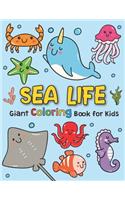 Giant Coloring Books For Kids