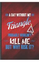 A Day Without My Triangle Probably Wouldn't Kill Me but Why Risk It