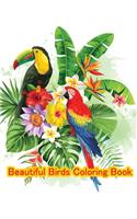 Beautiful birds coloring book