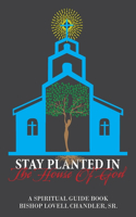 Stay Planted in the House of God